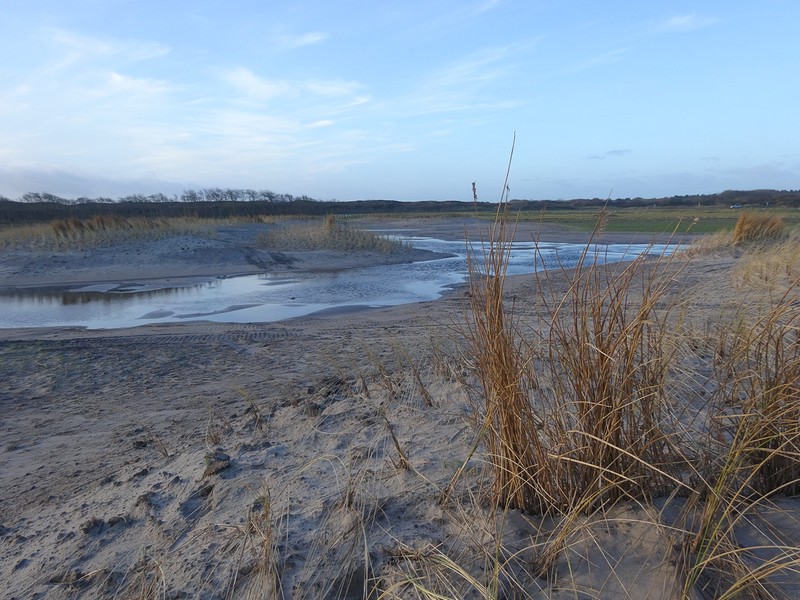 Natuurontwikkeling Uitlandse Polder