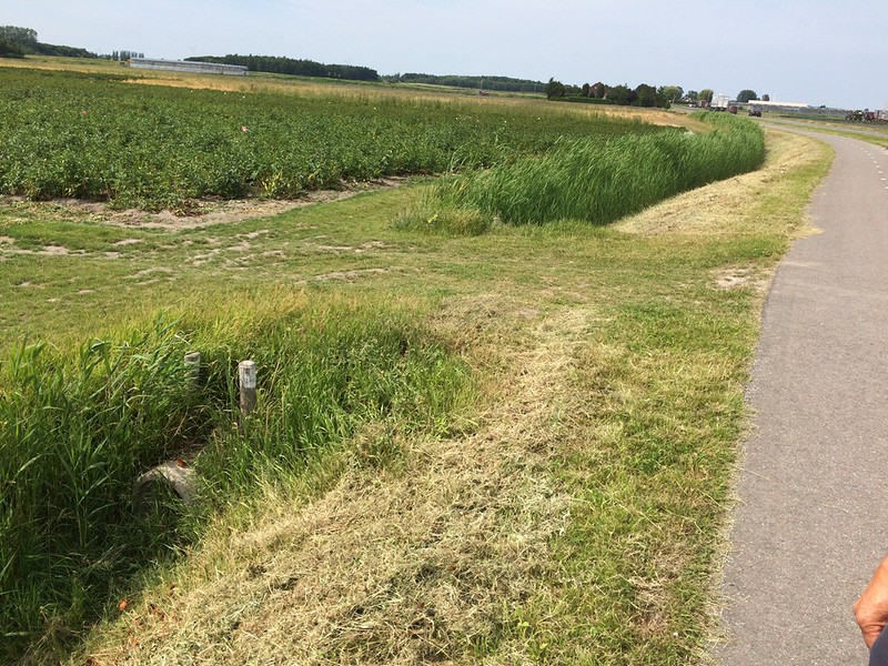 Aanleg persriool Kadijkweg Lutjeboek