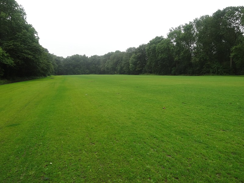 Funderen grasveld Amsterdamse Bos